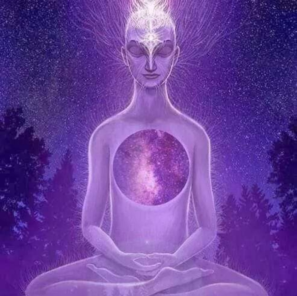 Meet your Posher, Sarahi